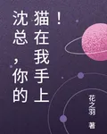 沈總，你的貓在我手上！ 封面