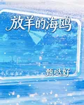 放羊的海鷗 封面