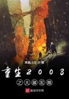 重生2008之大展宏圖 封面