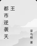 都市逆襲天王 封面