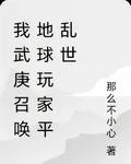 我武庚召喚地球玩家平亂世 封面
