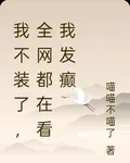 我不裝了，全網都在看我發癲 封面