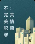 不完美犯罪：共情篇 封面