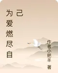 爲愛燃盡自己 封面