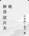 斬盡這片天地 封面
