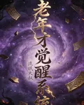 老年才覺醒系統 封面