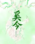 奚今 封面