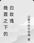 晚霞之下的白玫瑰 封面