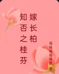 知否之桂芬嫁長柏 封面