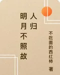 明月不照故人歸 封面