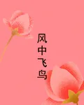 風中飛鳥 封面