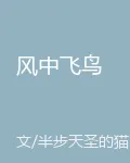 風中飛鳥 封面