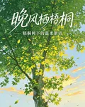 晚風棲梧桐 封面