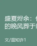 盛夏燼餘：他的晚風葬於舊夏 封面