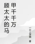 顧太太的馬甲千千萬 封面