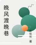 晚風渡晚巷 封面
