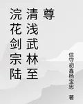浣花劍宗陸清淺武林至尊 封面