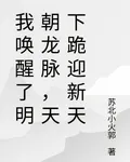 我喚醒了明朝龍脈，天下跪迎新天 封面