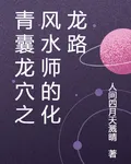 青囊龍穴之風水師的化龍路 封面