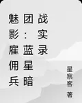魅影僱傭兵團：藍星暗戰實錄 封面