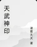 天武神印 封面
