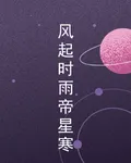 風起時雨帝星寒 封面