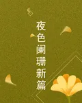 夜色闌珊新篇 封面