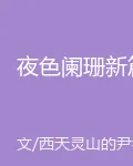 夜色闌珊新篇 封面