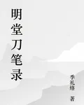 明堂刀筆錄 封面