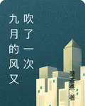 九月的風又吹了一次 封面