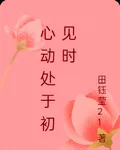 心動處於初見時 封面