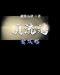 頂流追愛攻略 封面
