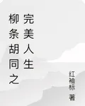 柳條衚衕之完美人生 封面