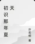 初識那年夏天 封面