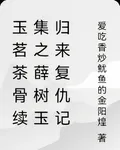 玉茗茶骨續集之薛樹玉歸來複仇記 封面
