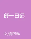 舒一日記 封面