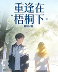 重逢在梧桐下 封面