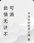 此情無計不可消 封面
