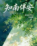 知南伴安 封面