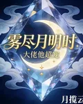 霧盡月明時大佬他超寵 封面