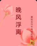 晚風浮離 封面