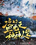 盜筆之種種人生 封面