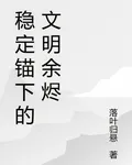 穩定錨下的文明餘燼 封面