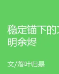 穩定錨下的文明餘燼 封面