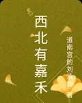 西北有嘉禾 封面