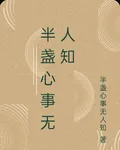 半盞心事無人知 封面