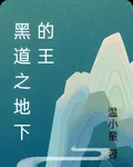 黑道之地下的王 封面
