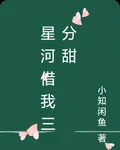 星河借我三分甜 封面
