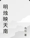 明燭映天南 封面