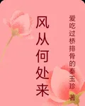 風從何處來 封面